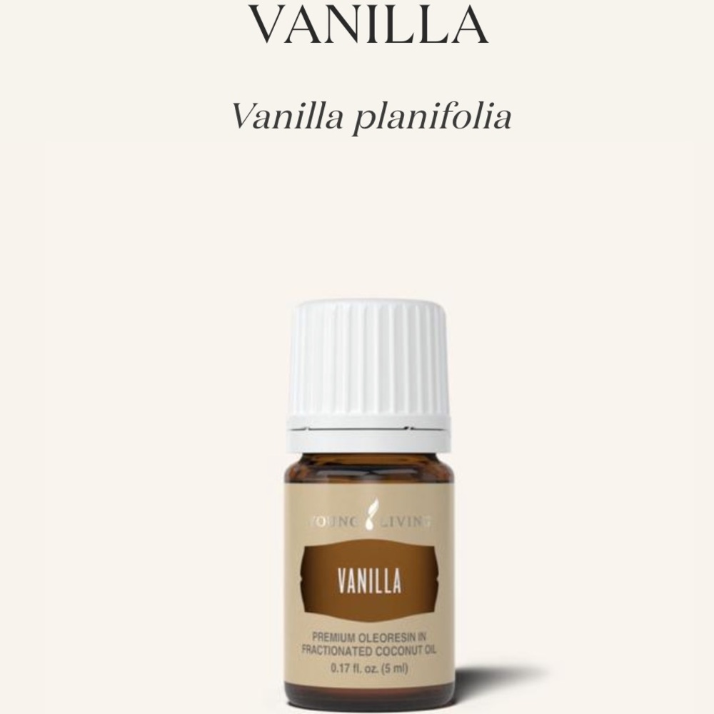 YL 5ml Vanilla
